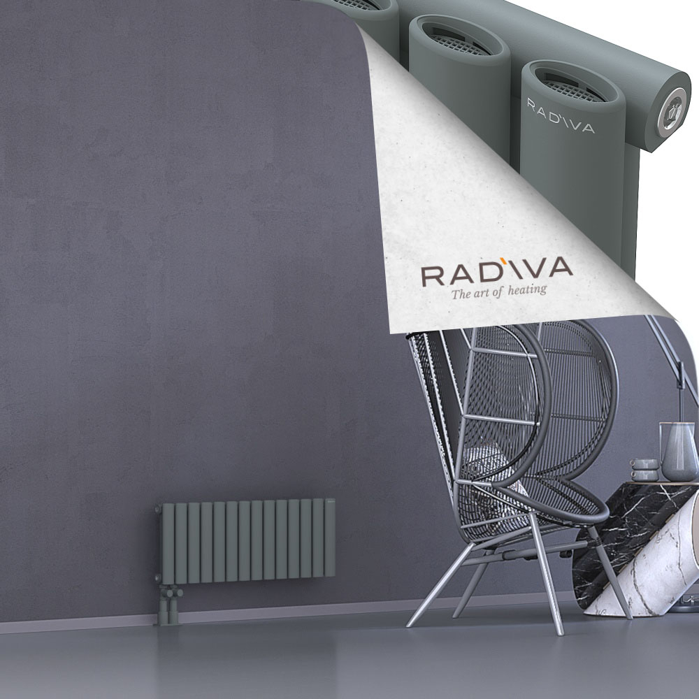 Bia Aluminium Radiator 300x804 Anthracite - 4