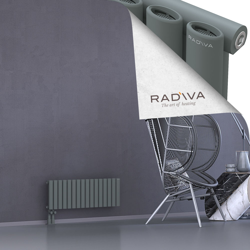 Bia Aluminium Radiator 300x920 Anthracite - 4