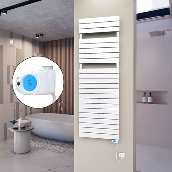 Ibiza Sèche-serviettes en Inox 600x1165 Poli Miroir - 152