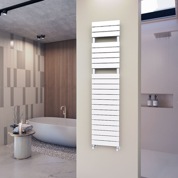 Ibiza Stainless Steel Towel Rail 600x1165 Mirror Polished - 50