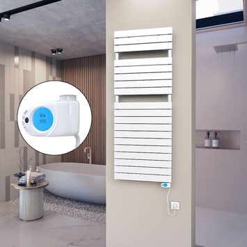 Ibiza Stainless Steel Towel Rail 600x1165 Mirror Polished - 134